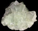 Green Fluorite Crystal Cluster - China #46156-1